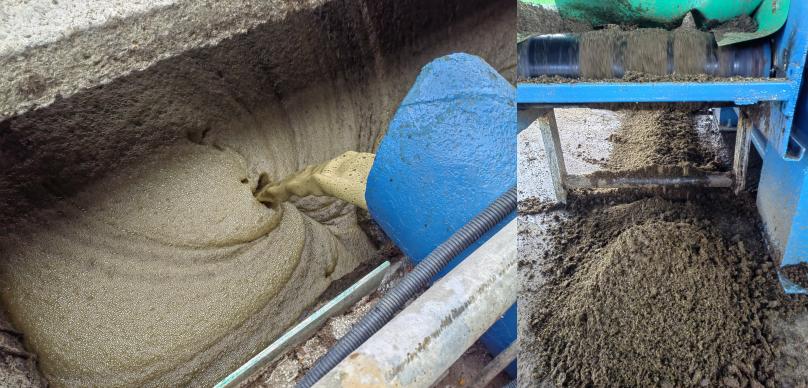 Separated solid and liquid phases from cattle manure processing