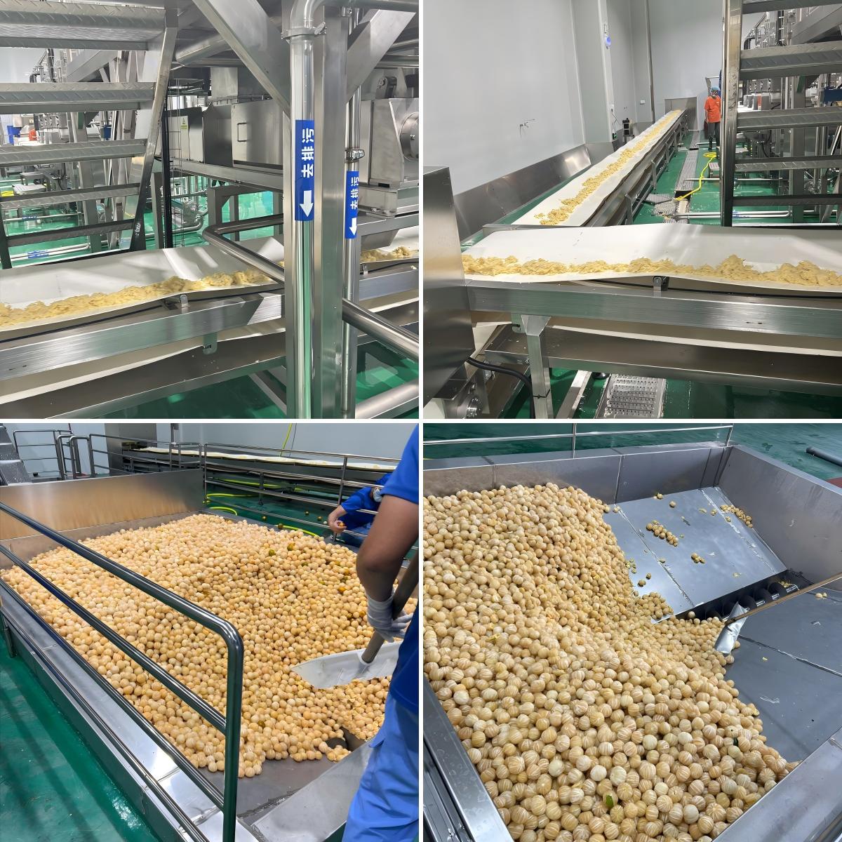 Orange processing production line