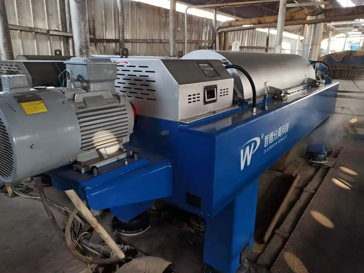Dewatered distiller's grains discharged from the decanter centrifuge