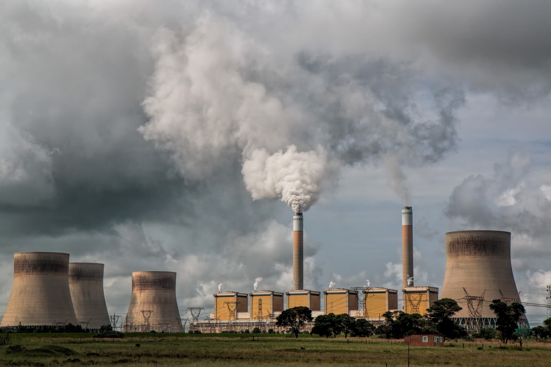 Environmental Solid Waste