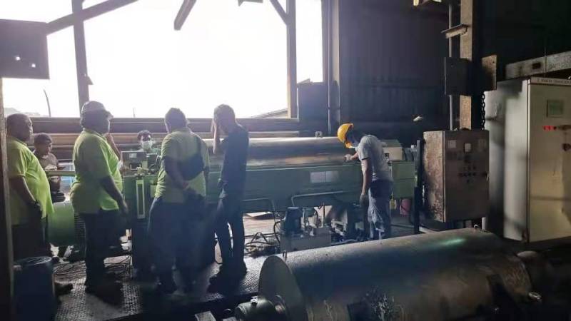 Palm oil extraction