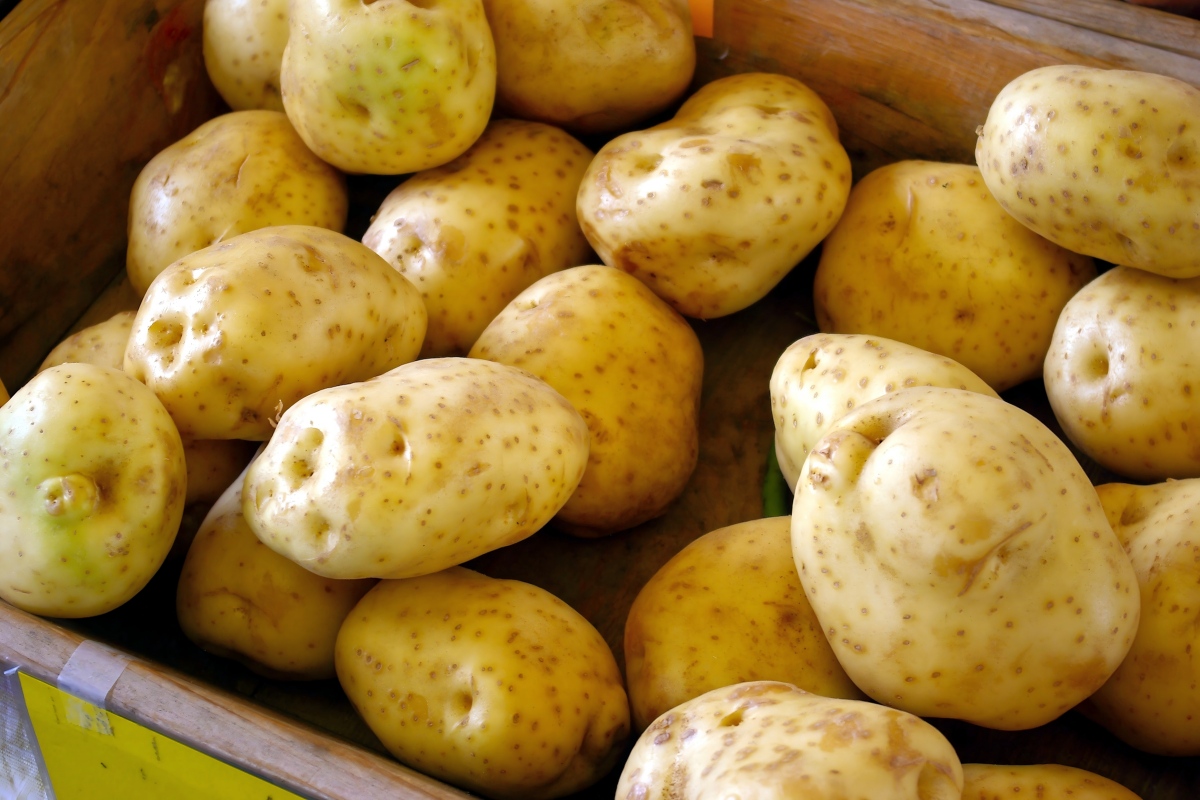 Starch separation