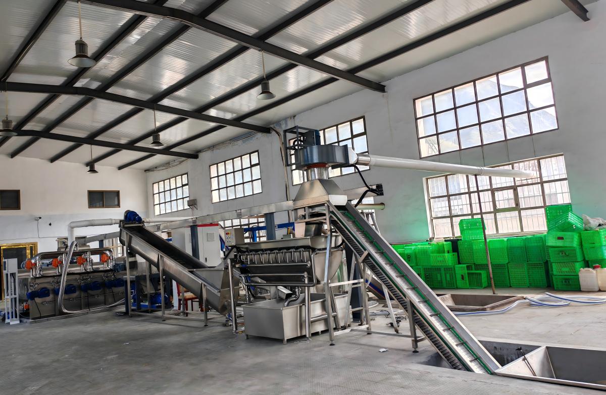 Integrated olive oil extraction system for commercial olive mills